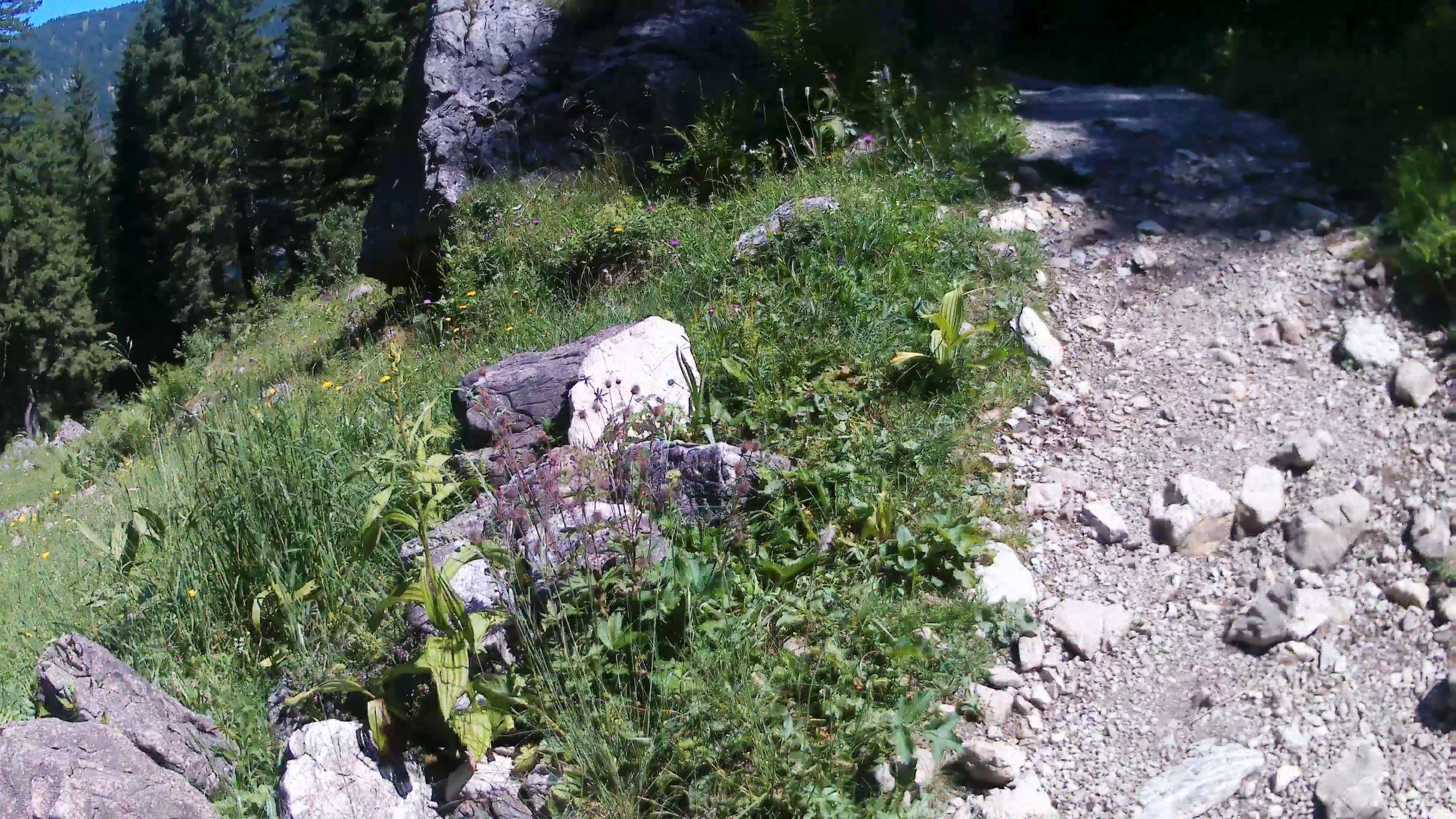 Klettersteig Lachenspitze im Tannheimer Tal, langer Zustieg, ehrlicher Steig, große Momente