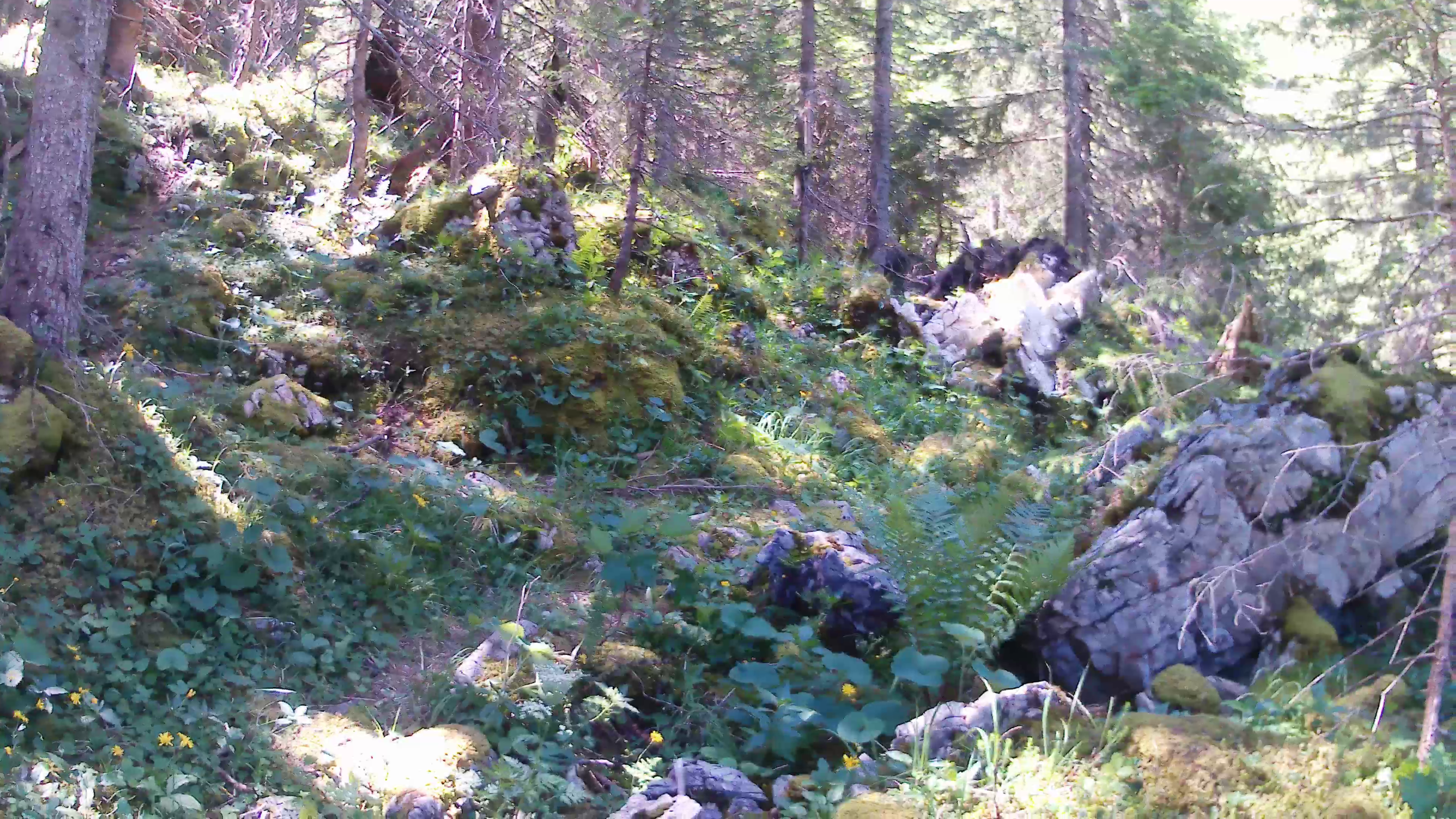 Klettersteig Lachenspitze im Tannheimer Tal, langer Zustieg, ehrlicher Steig, große Momente